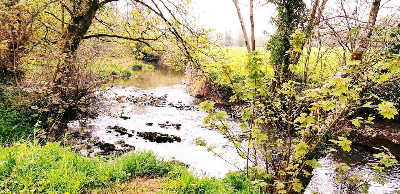 Kingsley Cottage - Beautiful Riverside Setting Beaworthy Εξωτερικό φωτογραφία