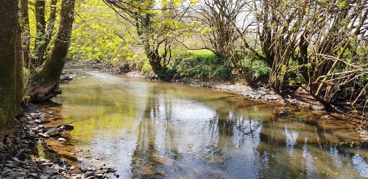 Kingsley Cottage - Beautiful Riverside Setting Beaworthy Εξωτερικό φωτογραφία