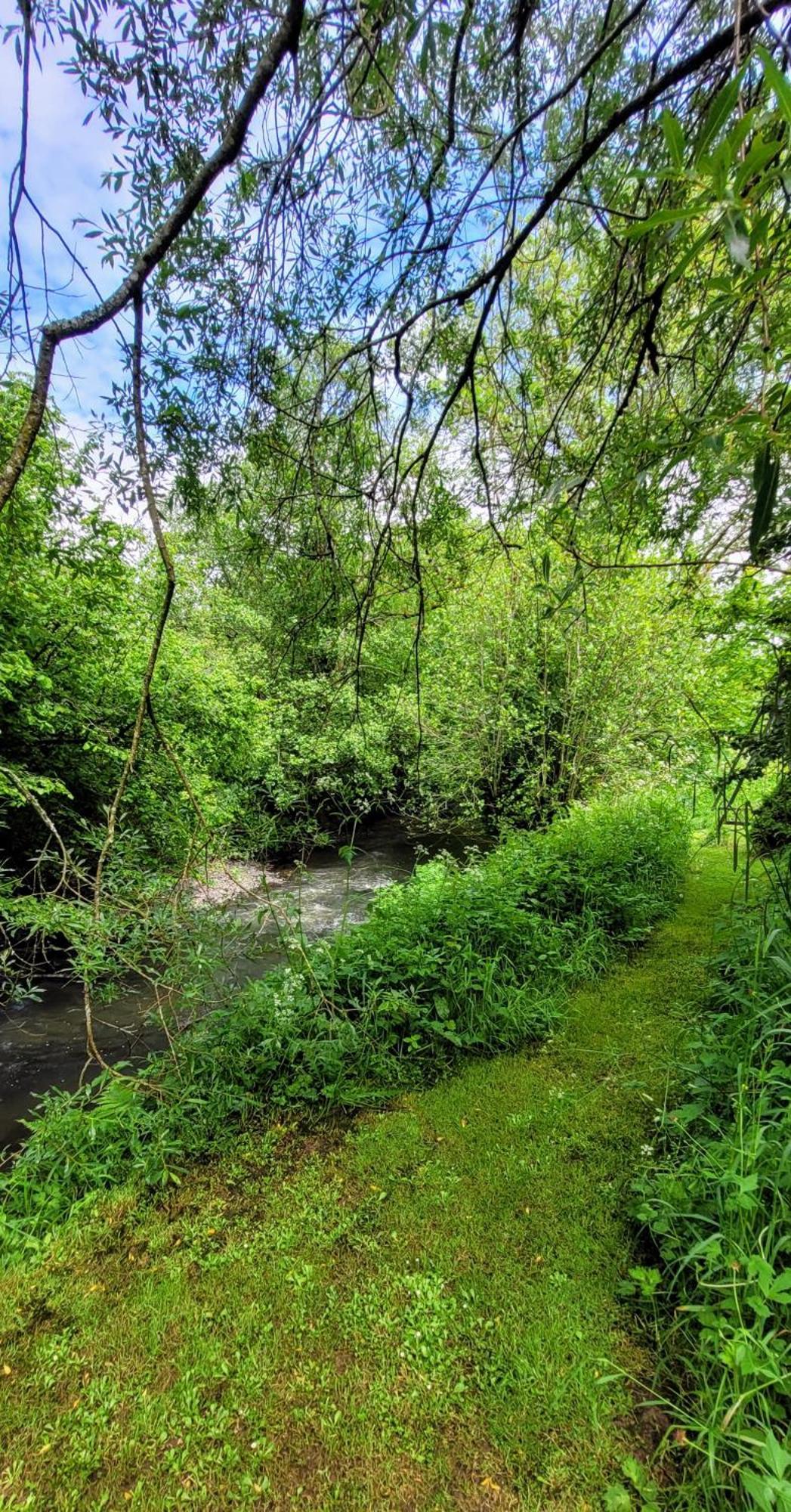 Kingsley Cottage - Beautiful Riverside Setting Beaworthy Εξωτερικό φωτογραφία