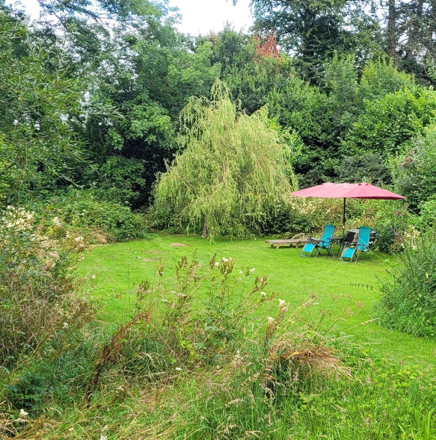 Kingsley Cottage - Beautiful Riverside Setting Beaworthy Εξωτερικό φωτογραφία